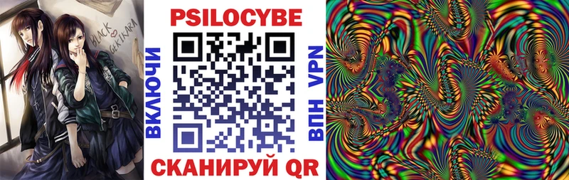 где продают   кракен tor  Псилоцибиновые грибы Psilocybine cubensis  Тбилисская 